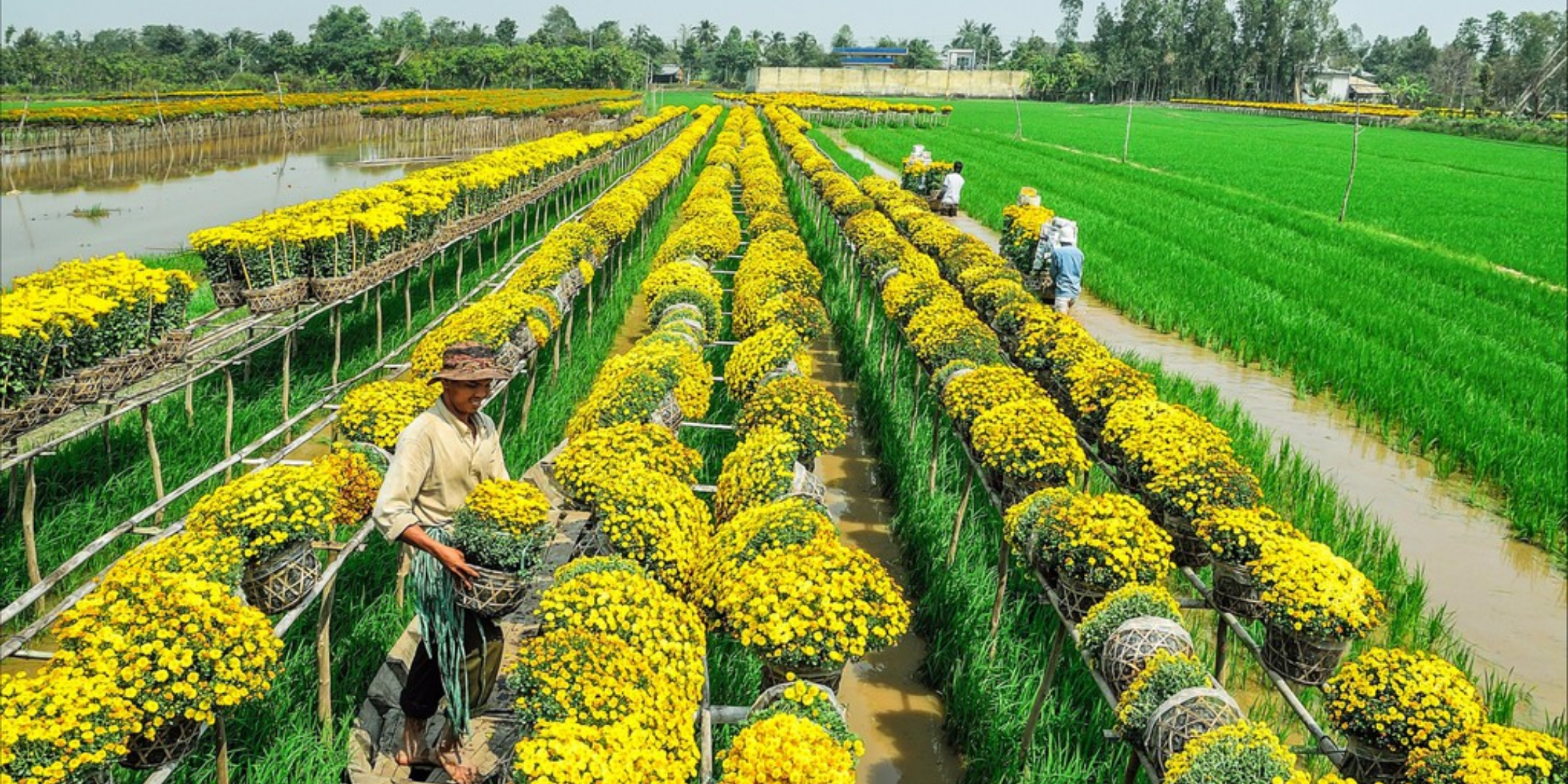 Travel VietNam